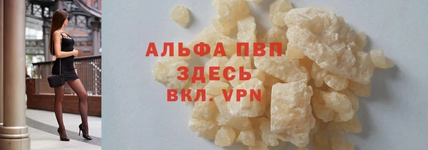 хмурый Алзамай