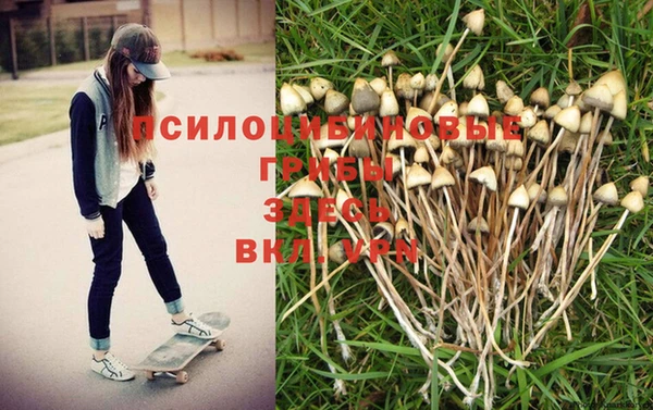 мескалин Алексин