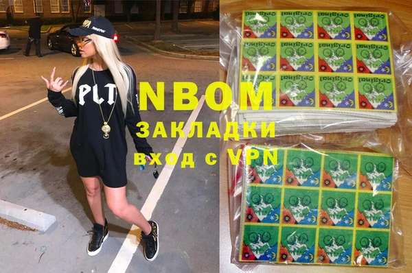 хмурый Алзамай