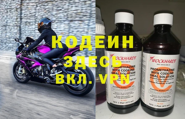 хмурый Алзамай