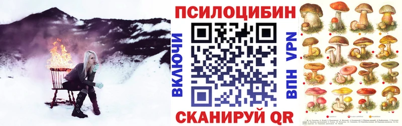 Псилоцибиновые грибы Psilocybine cubensis  что такое   Петропавловск-Камчатский 