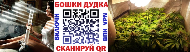 Бошки Шишки Amnesia  Петропавловск-Камчатский 